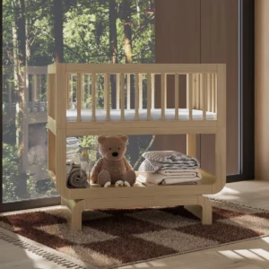 Deluxe 3-in-1 Convertible Bassinet with Mattress